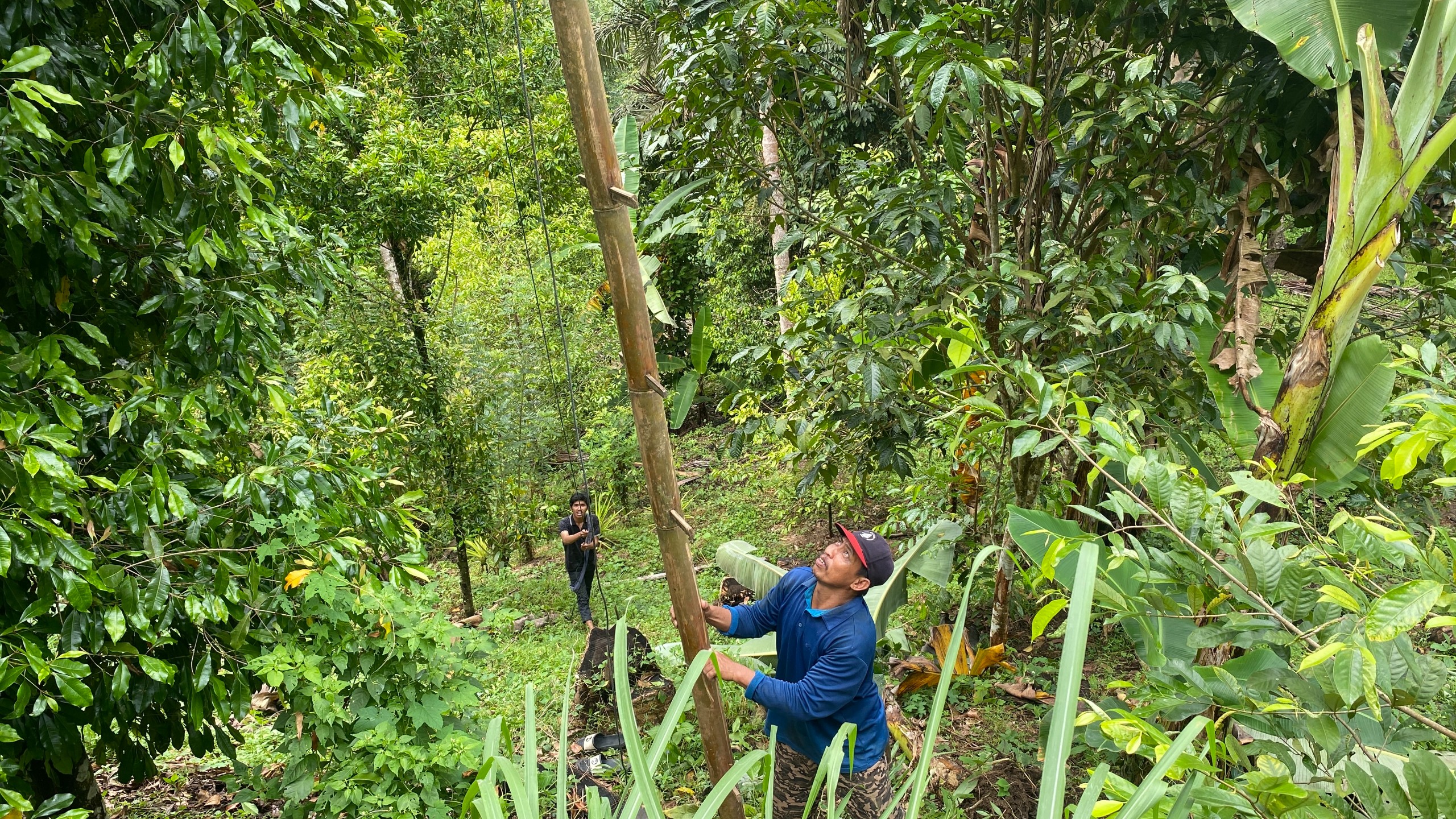 Kunjungan ke Kebun Cengkeh oleh Tim Pelaksana