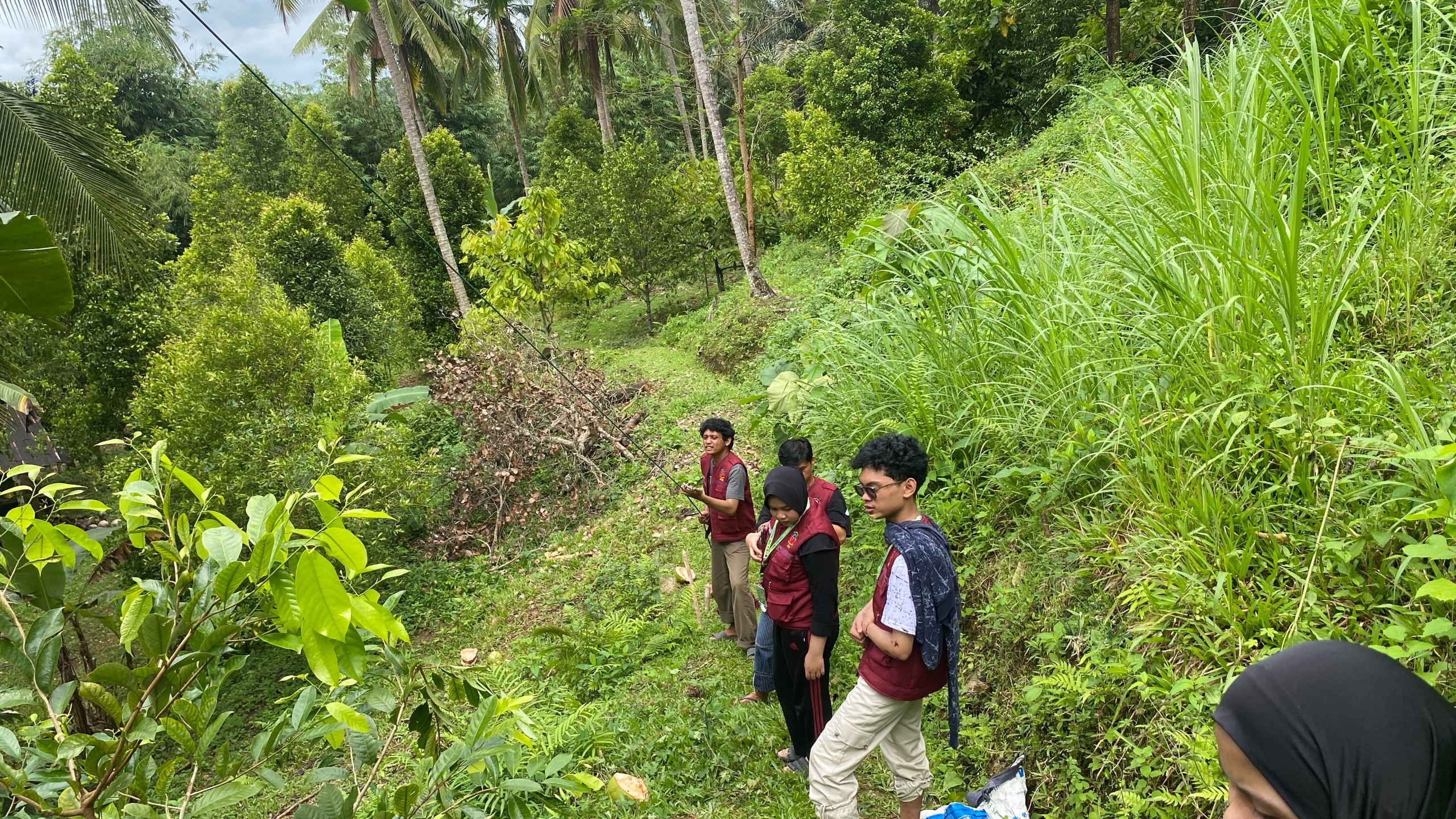 Kunjungan ke Kebun Cengkeh oleh Tim Pelaksana