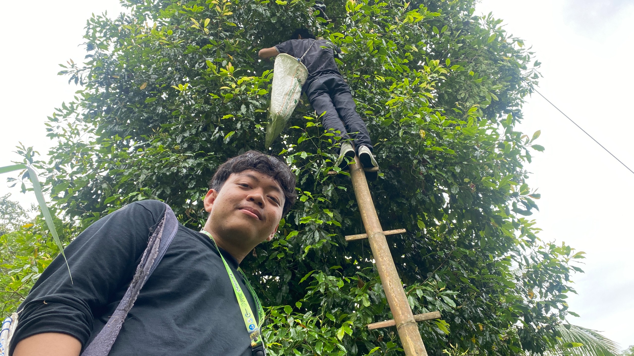 Kunjungan ke Kebun Cengkeh oleh Tim Pelaksana