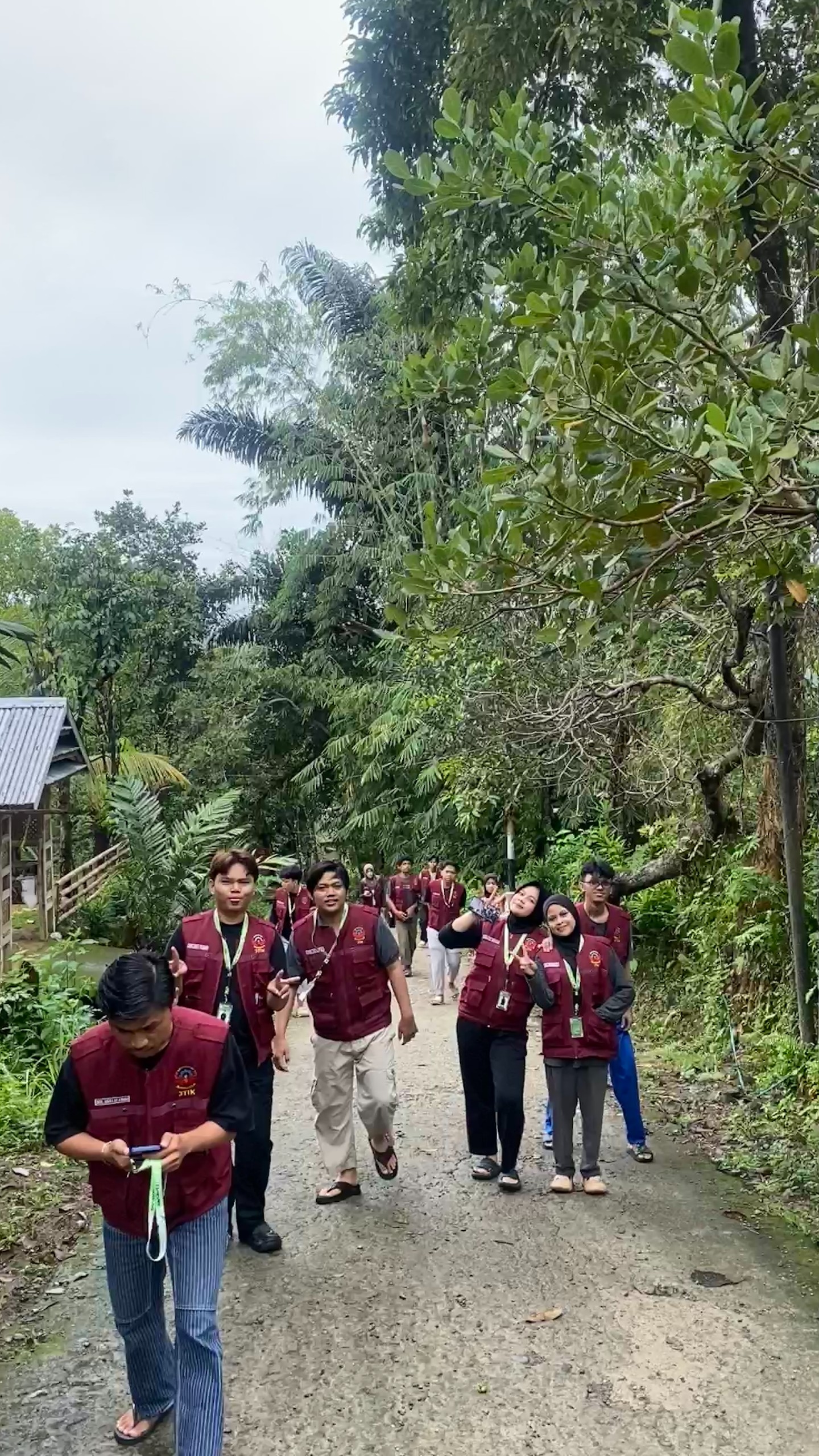 Kunjungan ke Kebun Cengkeh oleh Tim Pelaksana