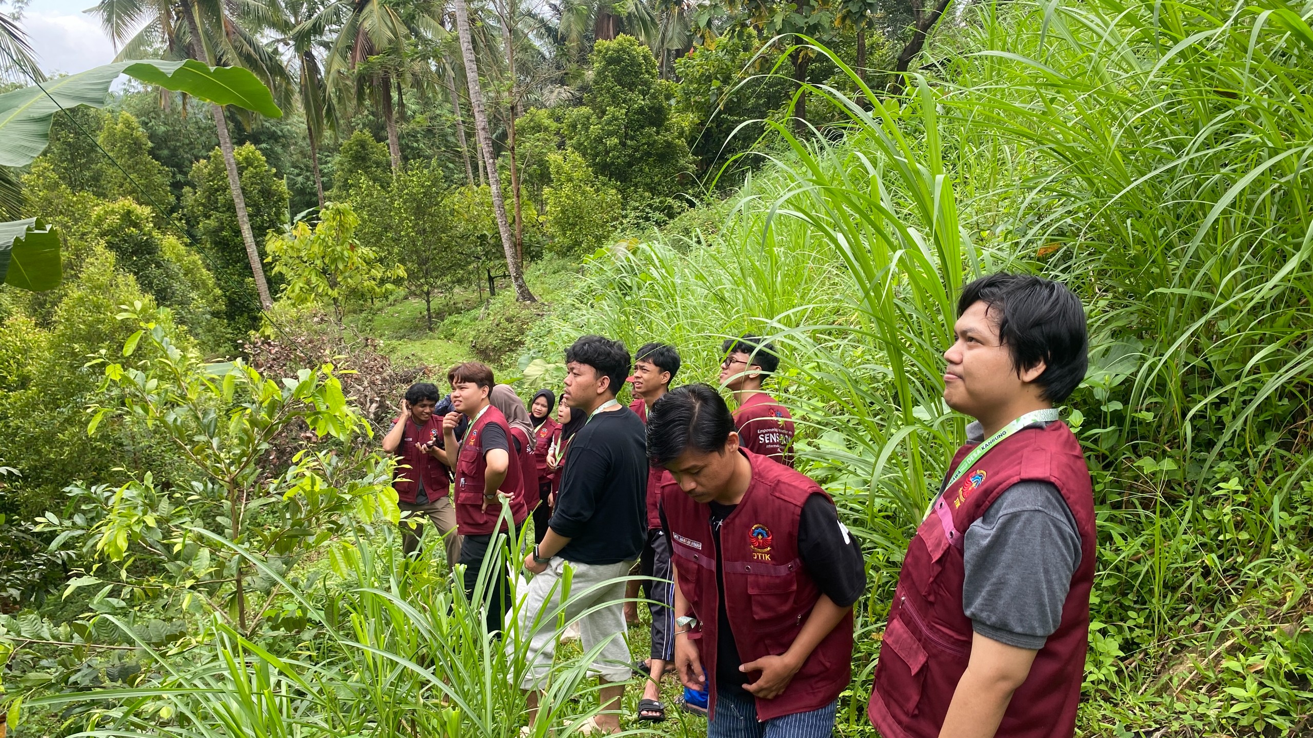 Kunjungan ke Kebun Cengkeh oleh Tim Pelaksana