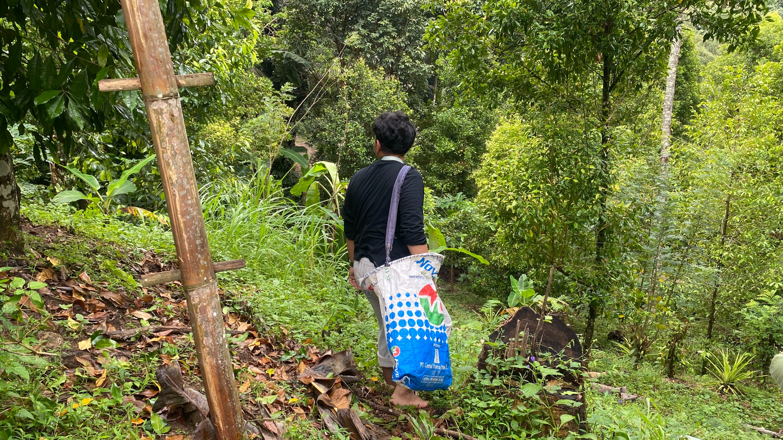 Kunjungan ke Kebun Cengkeh oleh Tim Pelaksana