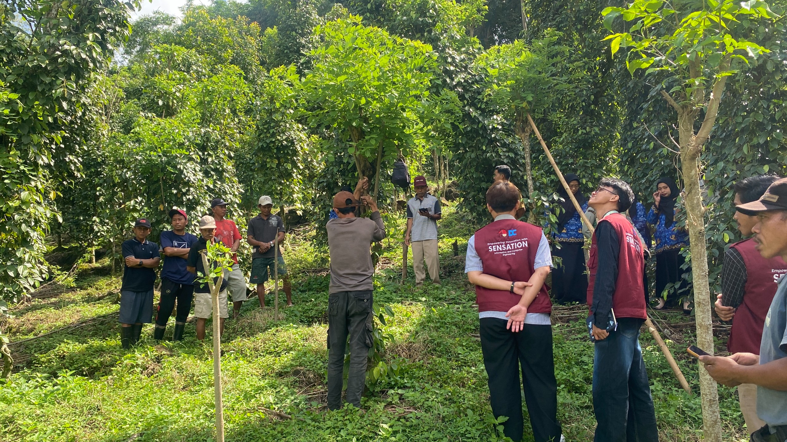 Kunjungan ke Kebun Lada oleh Tim Pelaksana