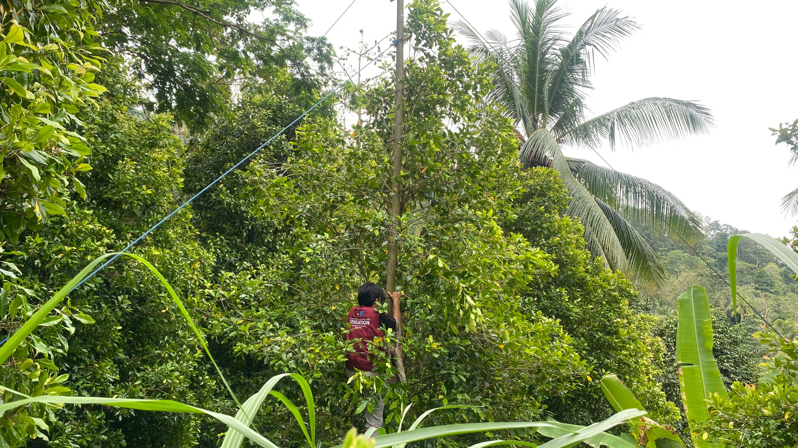 Kunjungan ke Kebun Cengkeh oleh Tim Pelaksana