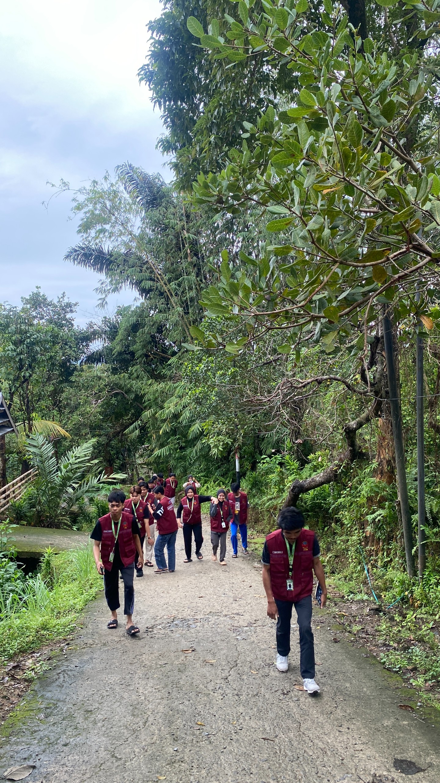 Kunjungan ke Kebun Cengkeh oleh Tim Pelaksana