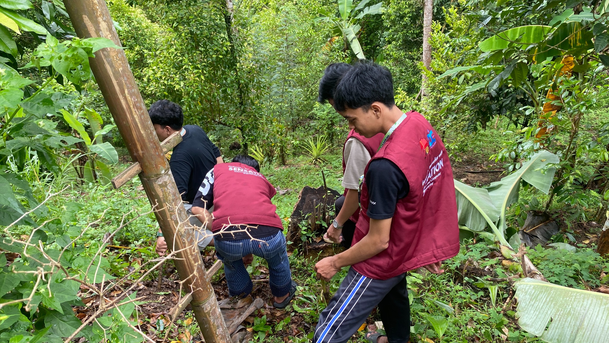 Kunjungan ke Kebun Cengkeh oleh Tim Pelaksana