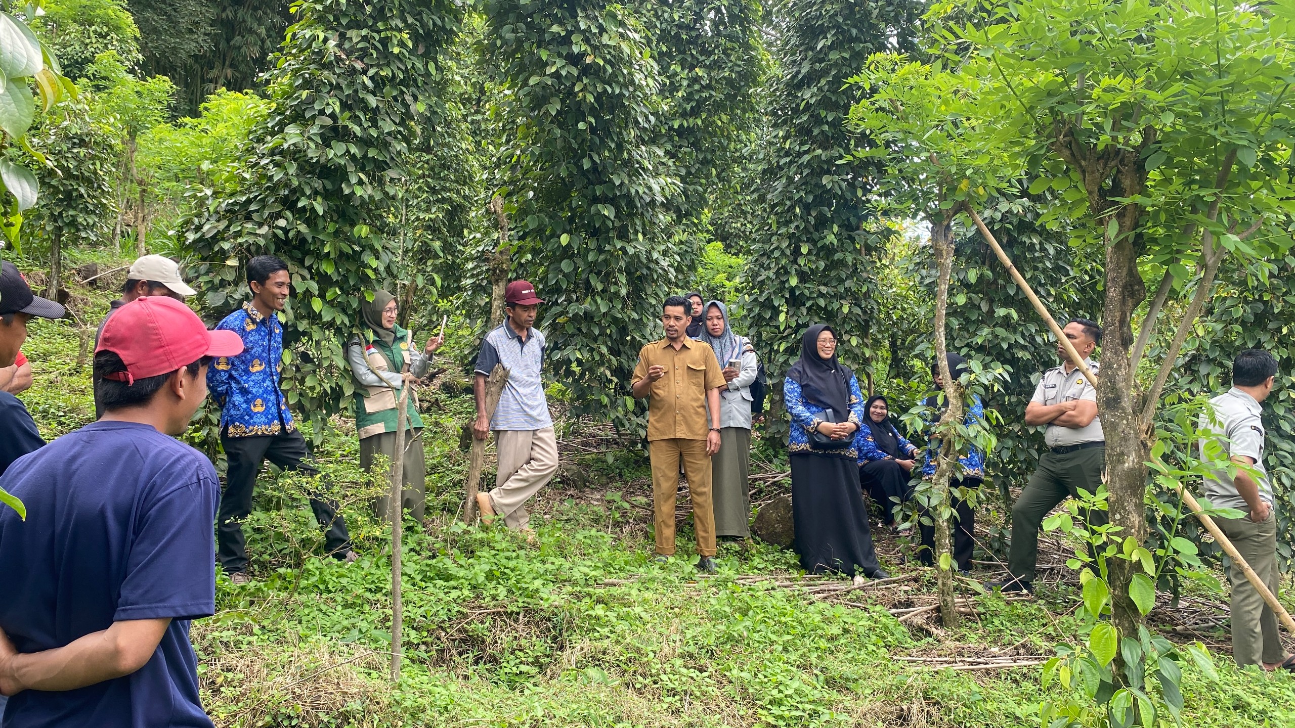 Kunjungan ke Kebun Lada oleh Tim Pelaksana
