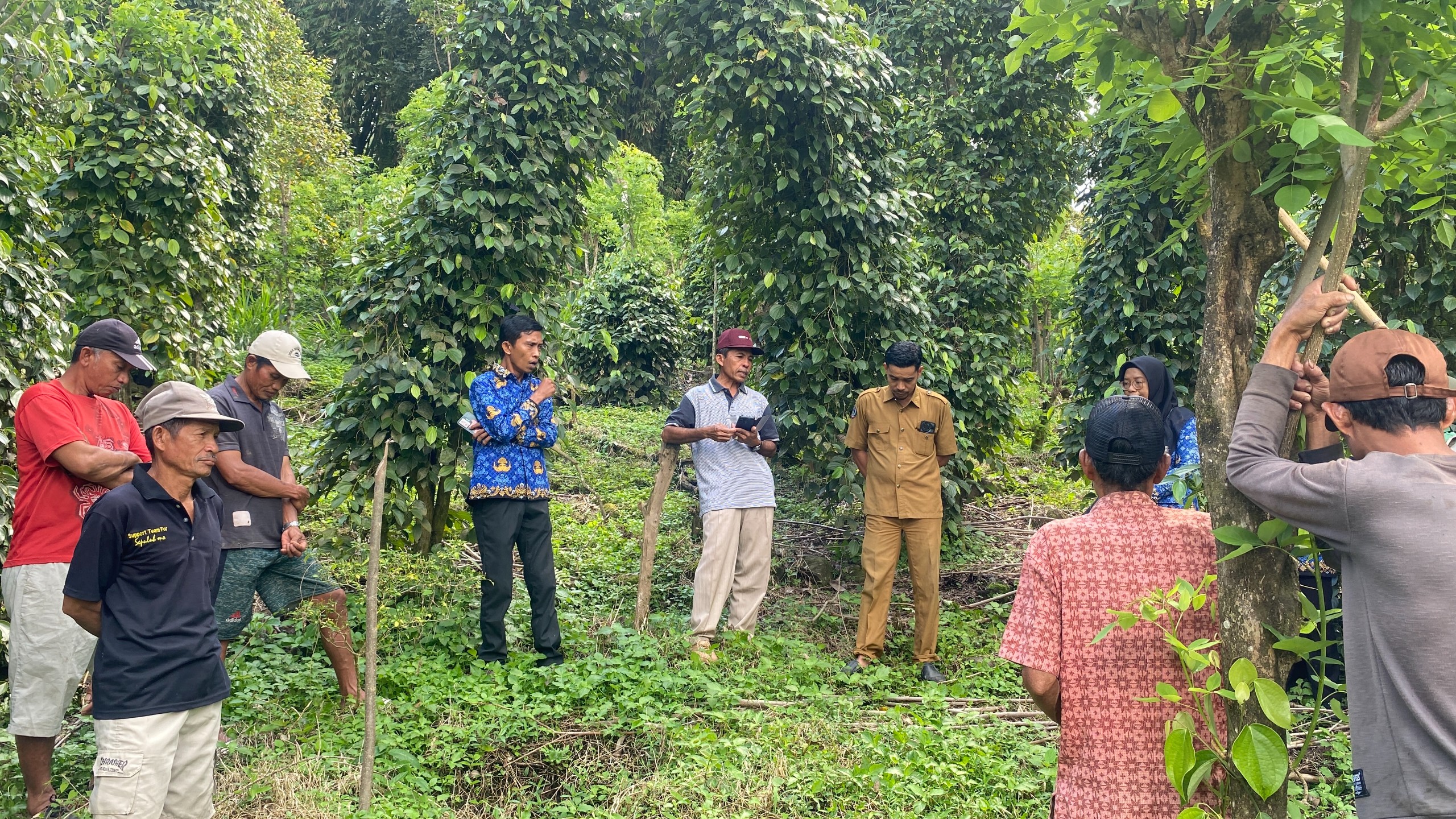 Kunjungan ke Kebun Lada oleh Tim Pelaksana