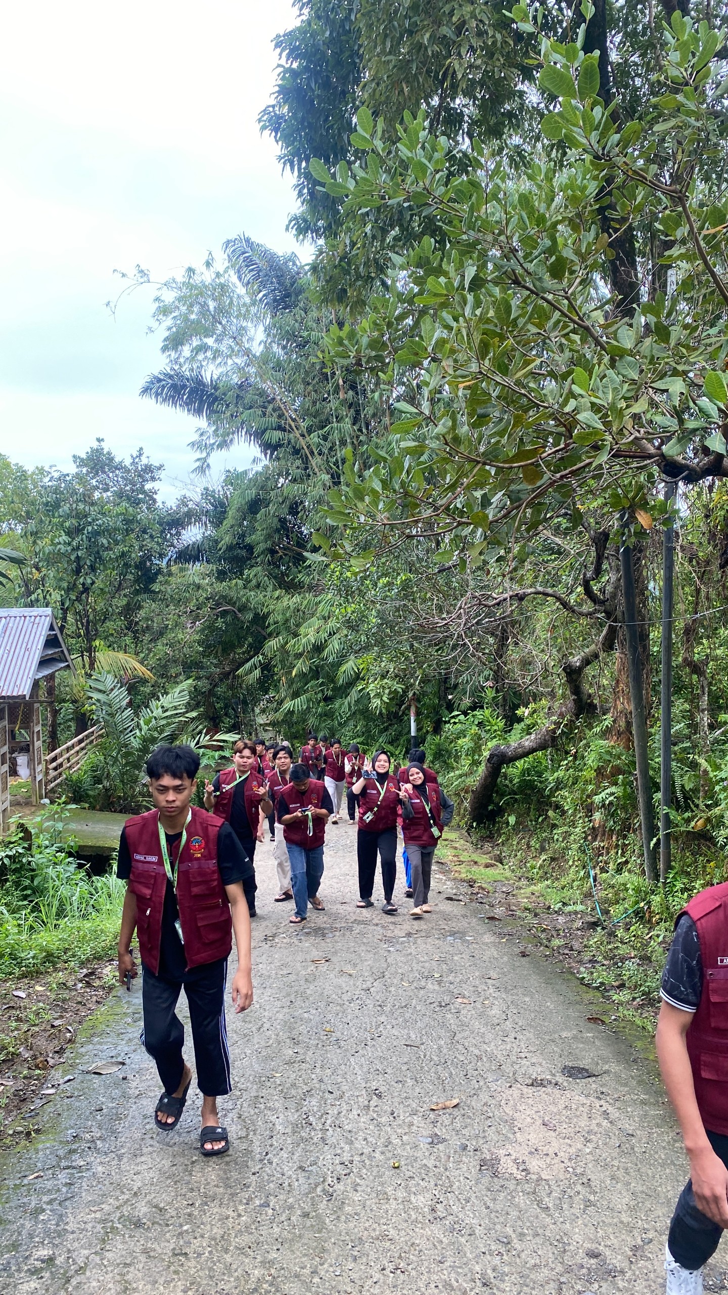Kunjungan ke Kebun Cengkeh oleh Tim Pelaksana