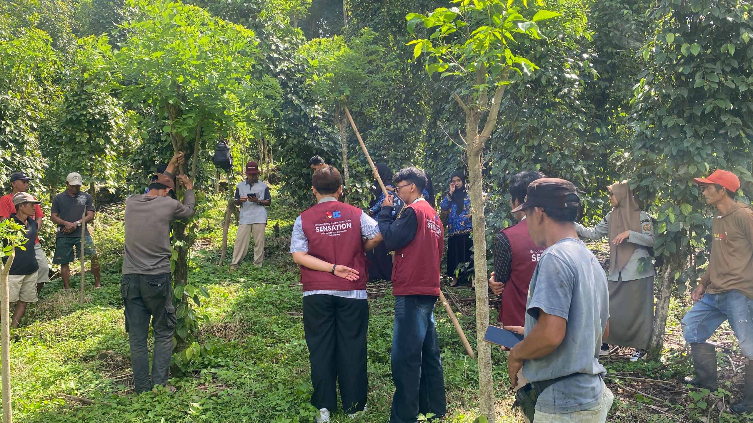 Kunjungan ke Kebun Lada oleh Tim Pelaksana